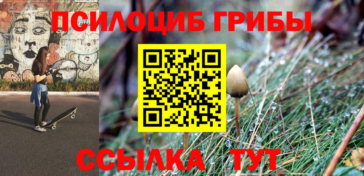 Псилоцибиновые грибы ЛСД  Галлюциногенные грибы прущие грибы  Алейск  Вход с VPN 