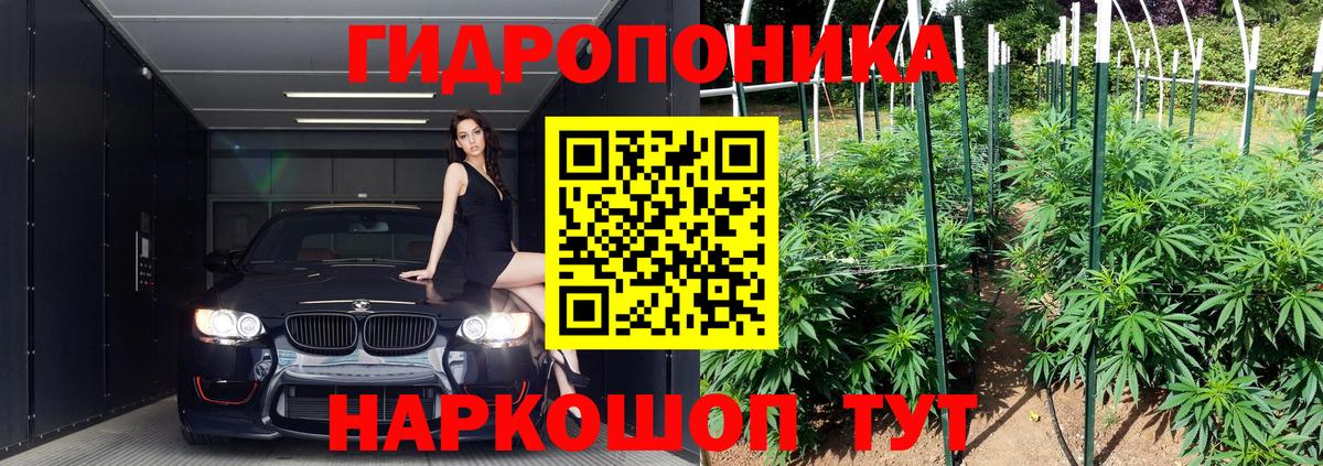 Бошки марихуана ГИДРОПОН  Каннабис White Widow  Канабис план  Вход с VPN  Бошки марихуана конопля  Алейск 